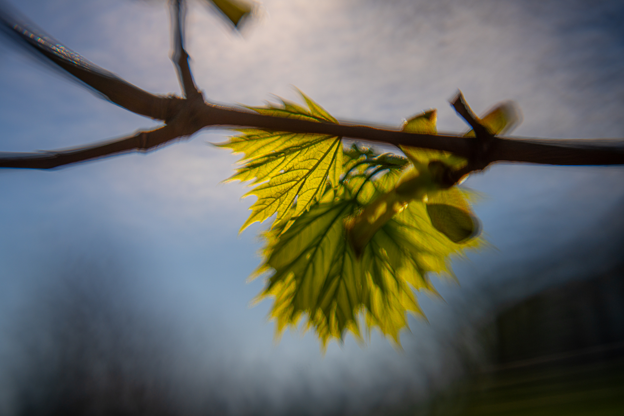 Meeting Photo Slide Show